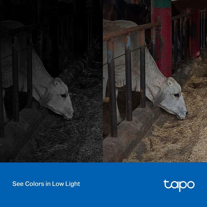 TP-Link TL-TAPO C320WS Outdoor Security Wi-Fi Camera