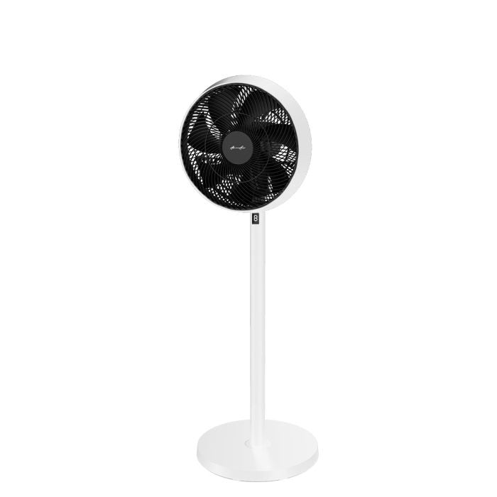 Alpha MOTTO SF B22/14 WHITE BLACK Stand Fan 14 Inch DC Motor White Black | TBM Online
