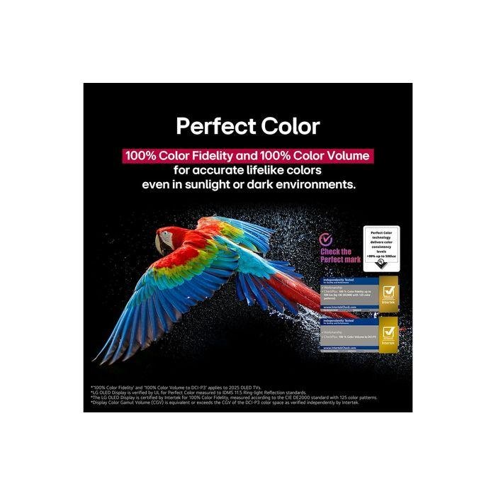 LG OLED55B5PSA 55" 4K UHD OLED AI TV Dolby Vision | TBM Online