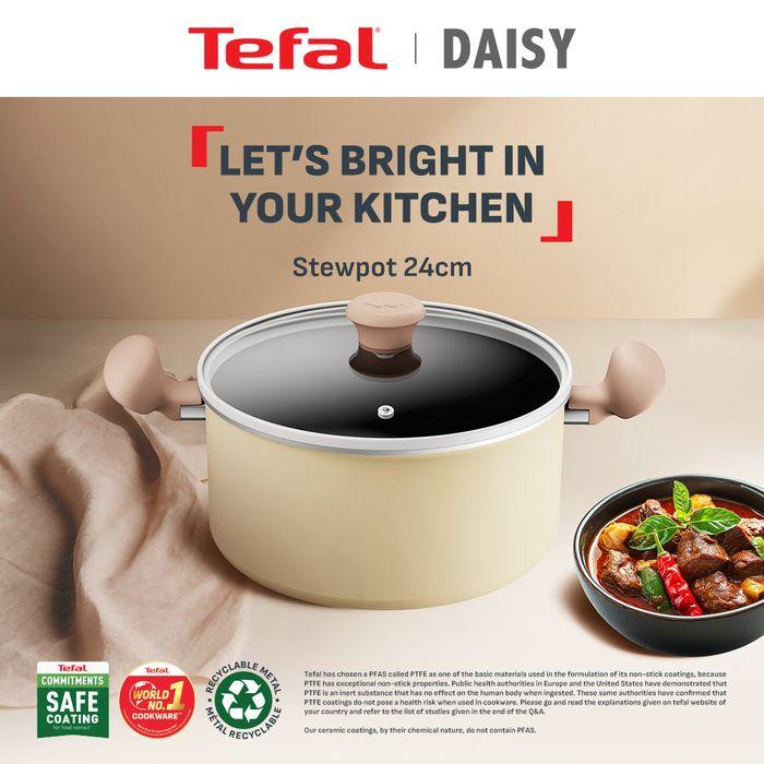 Tefal H0494624 Cookware Daisy Stewpot 24cm | TBM Online