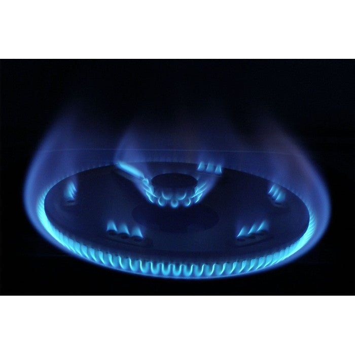 Rinnai RI-522M Gas Stove 2B | TBM Online
