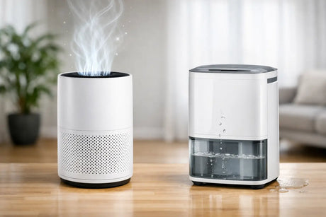 Air Purifier Versus Dehumidifier: Which Do You Need?