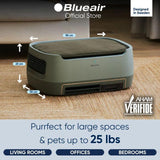 BlueAir 112860 PetAir Pro P3i