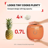 Tefal RK535A 0.7L POP Rice Cooker Eucalyptus 0.7L (4 Cups)