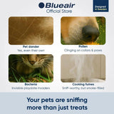 BlueAir 112860 PetAir Pro P3i