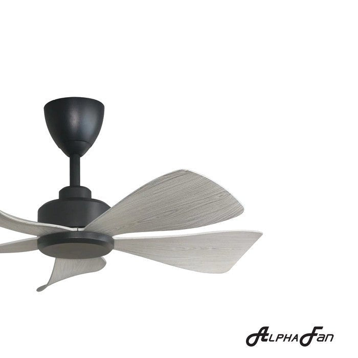 Alpha HANI - 5B 36" GREY WOOD/MB Ceiling Fan 36" 5 Blades Grey Wood/Matt Black | TBM Online