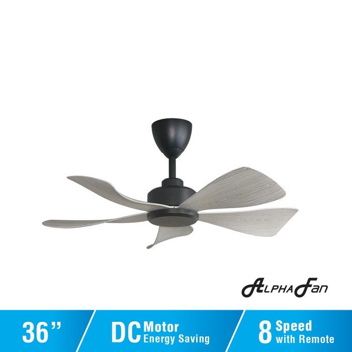 Alpha HANI - 5B 36" GREY WOOD/MB Ceiling Fan 36" 5 Blades Grey Wood/Matt Black | TBM Online