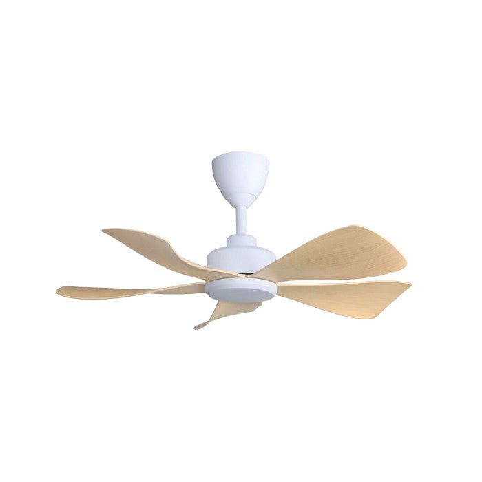 Alpha HANI - 5B 36" MAPLE/MW Ceiling Fan 36" 5 Blades Maple/Matt White | TBM Online