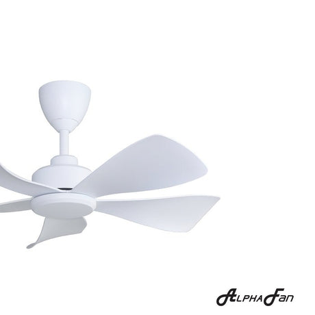 Alpha HANI - 5B 36" MATT WHITE Ceiling Fan 36" 5 Blades Matt White | TBM Online
