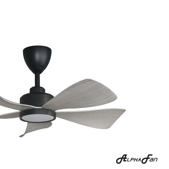 Alpha HANI 5B/36 LED GREY WOOD/MB Ceiling Fan 36" 5 Blades LED Grey Wood Matt Black | TBM Online