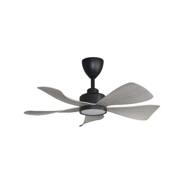 Alpha HANI 5B/36 LED GREY WOOD/MB Ceiling Fan 36" 5 Blades LED Grey Wood Matt Black | TBM Online