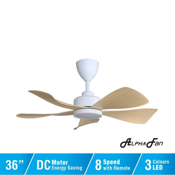 Alpha HANI 5B/36 LED MAPLE MATT WHITE Ceiling Fan 5 Blades 36 Inch LED Maple Matt White | TBM Online