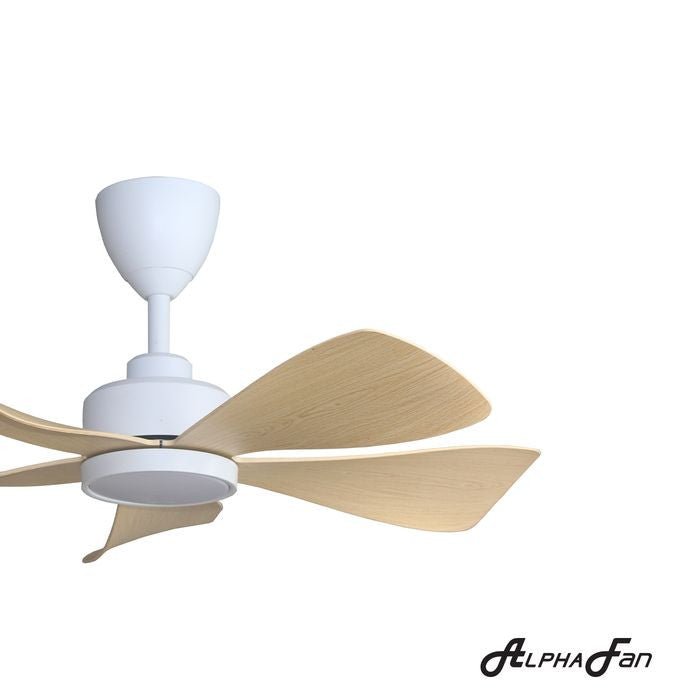 Alpha HANI 5B/36 LED MAPLE MATT WHITE Ceiling Fan 5 Blades 36 Inch LED Maple Matt White | TBM Online