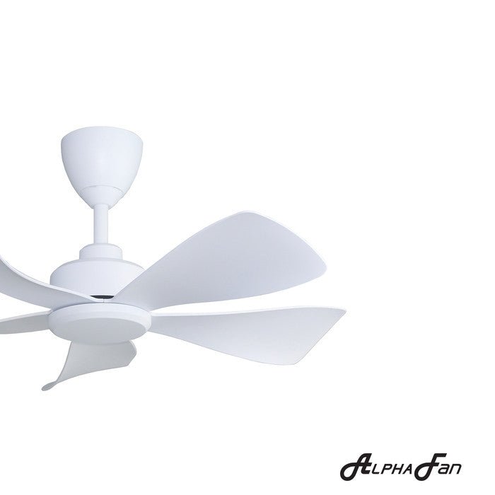 Alpha HANI - 5B 36" MATT WHITE Ceiling Fan 36" 5 Blades Matt White | TBM Online