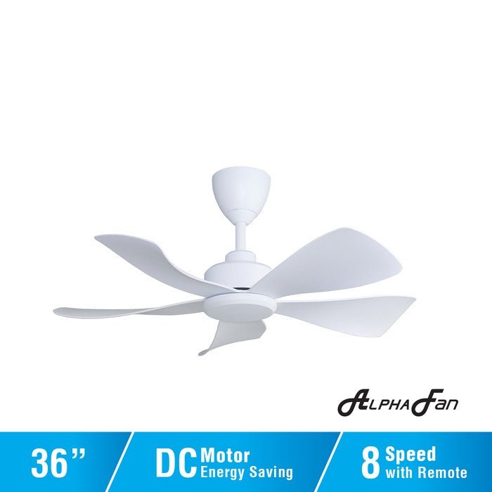 Alpha HANI - 5B 36" MATT WHITE Ceiling Fan 36" 5 Blades Matt White | TBM Online