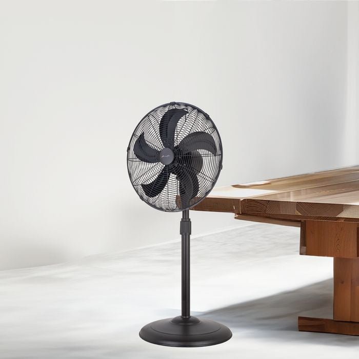 Alpha MOTTO SF K16 ORB Motto Stand Fan 16" AC Motor ORB | TBM Online