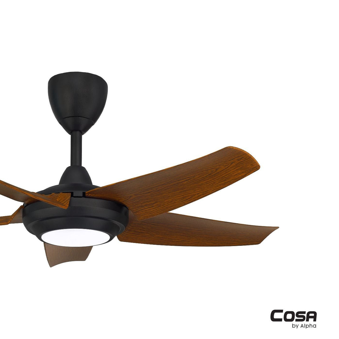 Alpha Cosa CX20 - 5B/46 LED WALNUT/MB Ceiling Fan 46" 5 Blades DC Motor LED Walnut Matt Black | TBM Online