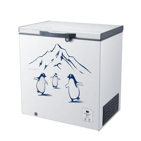 Hisense FC326D4BWYS Chest Freezer 300L | TBM Online