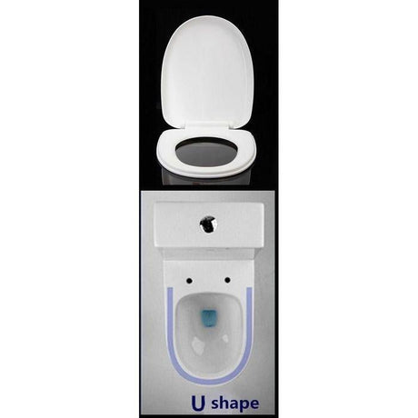JoyLife JTS-001-D Manual Bidet D Shape | TBM Online