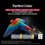 LG OLED55C5PSA 55" 4K OLED EVO AI C5 Smart TV | TBM Online