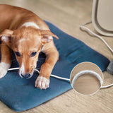 Philips AC3360/11 PureProtect Smart Pet Purifier 3000 Series White | TBM Online