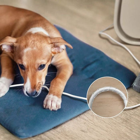 Philips AC3360/11 PureProtect Smart Pet Purifier 3000 Series White | TBM Online