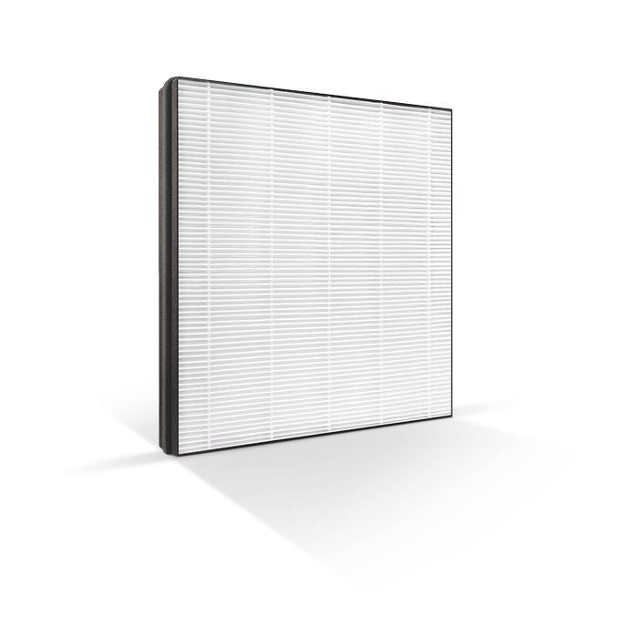 Philips DE5205/30 2 - in - 1 Air Purifier and Dehumidifier | TBM Online