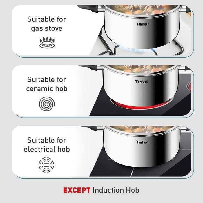 Tefal E3254495 Starter Stewpot With Lid 20cm | TBM Online