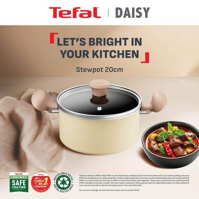 Tefal H04944 Cookware Daisy Stewpot 20cm | TBM Online