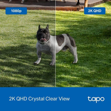 TP-Link TL-TAPO C425 2K QHD Smart Wire-Free Security Camera | TBM Online
