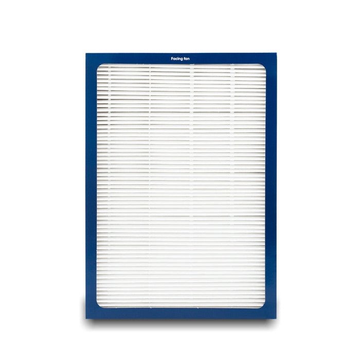 BlueAir F500600DP Dual Protection Filter For 500/600 Series | TBM Online