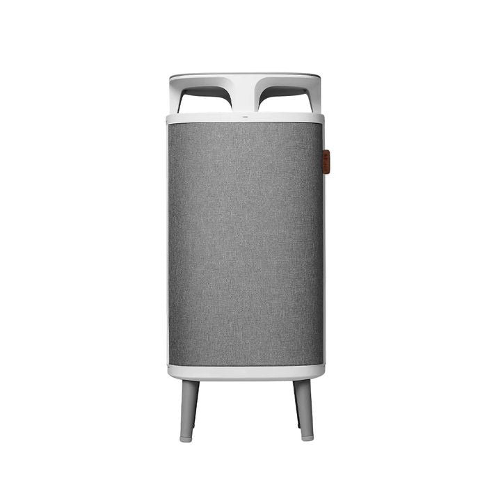 BlueAir 5240I Dust Magnet 5240I With Combo Filter | TBM Online