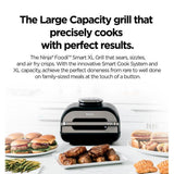 Ninja AG551 Food Smart XL Gril And Air Fryer | TBM Online