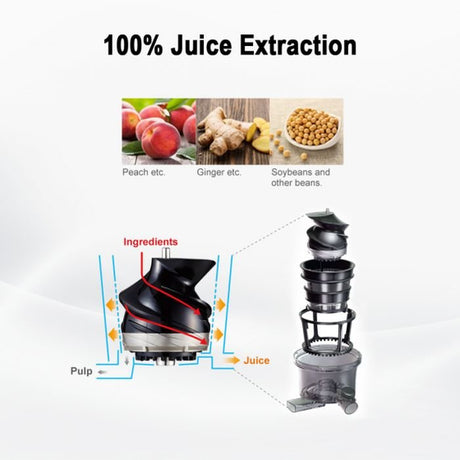 Panasonic MJ-L500 Slow Juicer Low Speed Compression | TBM Online