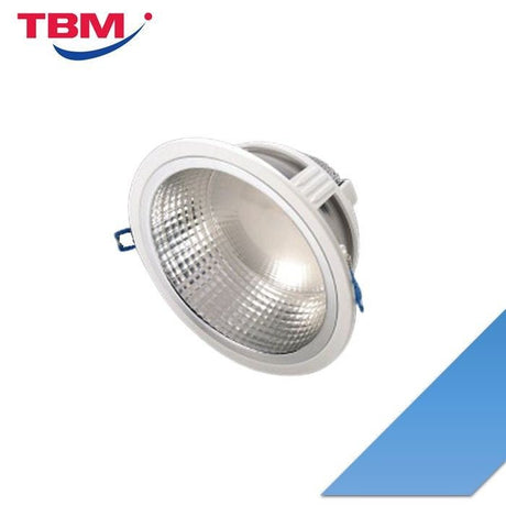 Pensonic PL-DL4D-30010-2120 Down Light 4" 10W 3000K Color | TBM Online