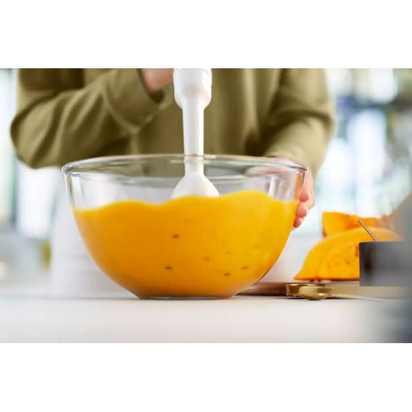 Philips HR2520/01 Hand Blender Daily Collection 550W Promix Plastic Bar 0.5L Beaker + Chopper + Whisk | TBM Online