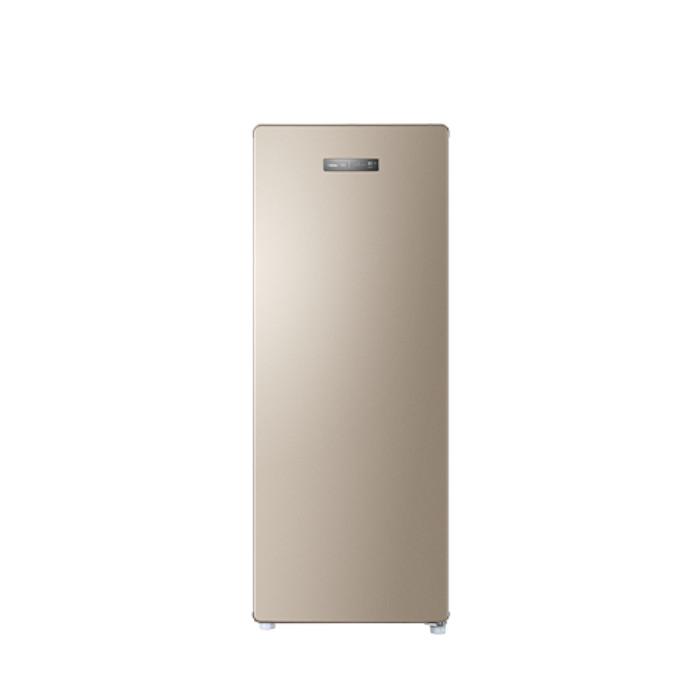 Haier BD-168WL Upright Freezer G160L R600A No Frost Cooling | TBM Online