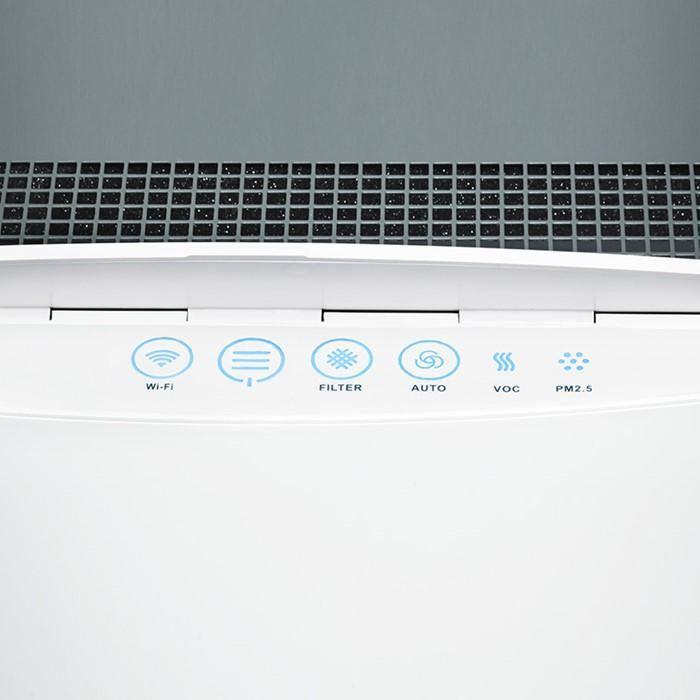 11 Best Air Purifiers of 2024