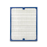 Blueair F200DP Dual Protection Filter For 200 Series | TBM Online
