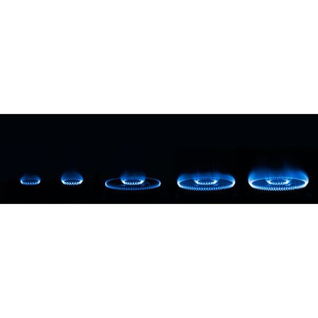 Rinnai RB-72G Built-In Hob | TBM Online