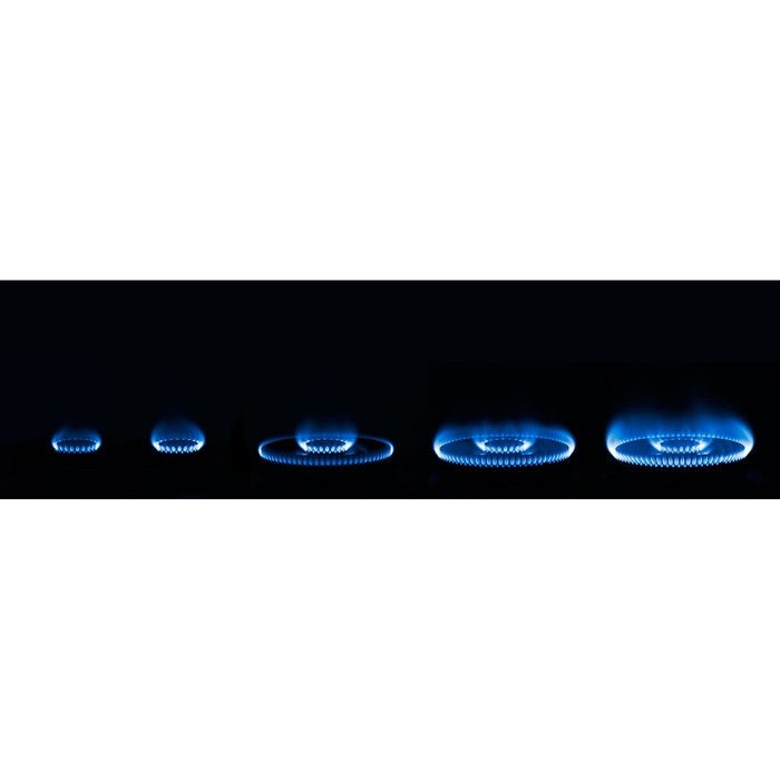 Rinnai RB-92G Built-In Hob | TBM Online