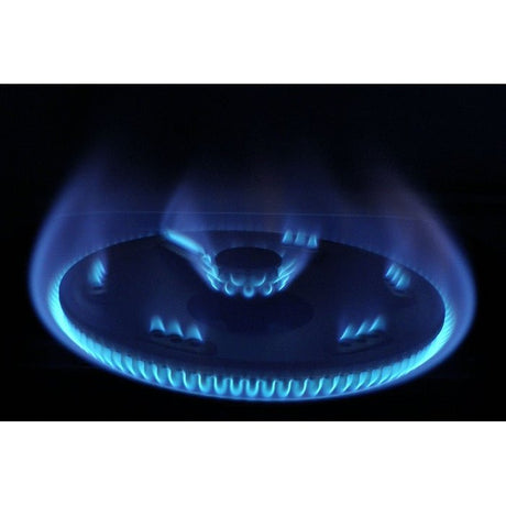 Rinnai RI-511M Single Gas Stove | TBM Online
