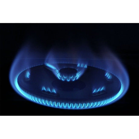 Rinnai RI-522M Gas Stove 2B | TBM Online