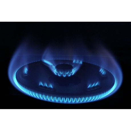 Rinnai RI-522MM Gas Stove 2B | TBM Online
