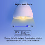 TP-Link Tapo TAPO L530E Smart Wi-Fi Light Bulb, Multicolor 8.7W | TBM Online